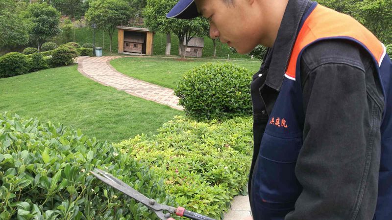 北京屋顶绿化荷载规范：了解与遵循的重要性