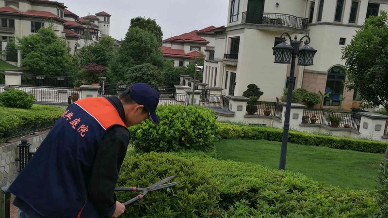立体绿化墙的维护成本主要包括以下几个方面：