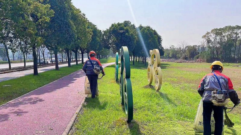会议室租摆花卉材质对比：选对材质，提升会议环境品质
