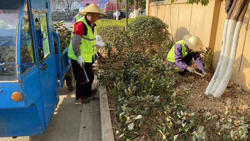厂区绿化工程，每平方报价如何制定？**