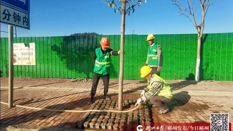 假山喷泉高度：如何把握景观美学与实用性的平衡**