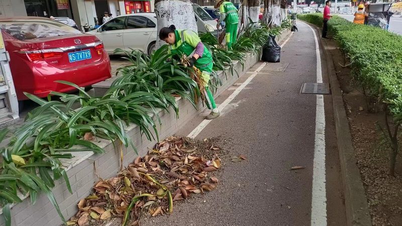 厂区绿化报价单背后的隐性成本，你算清楚了吗