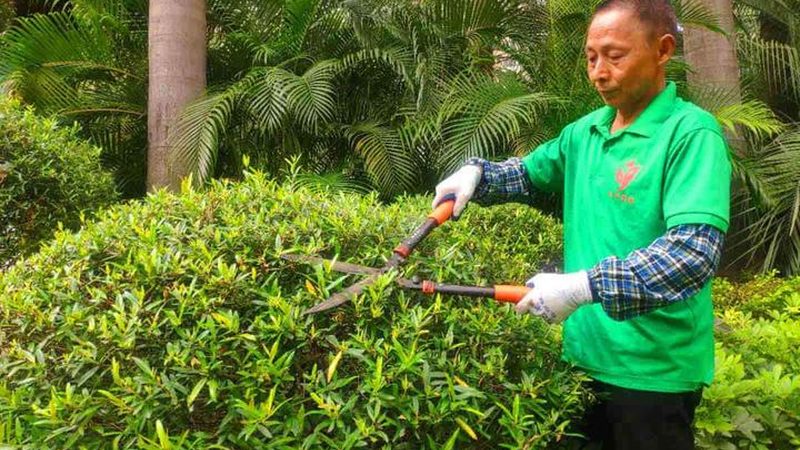 广州绿植租赁公司加盟，如何选择靠谱的合作伙伴？**