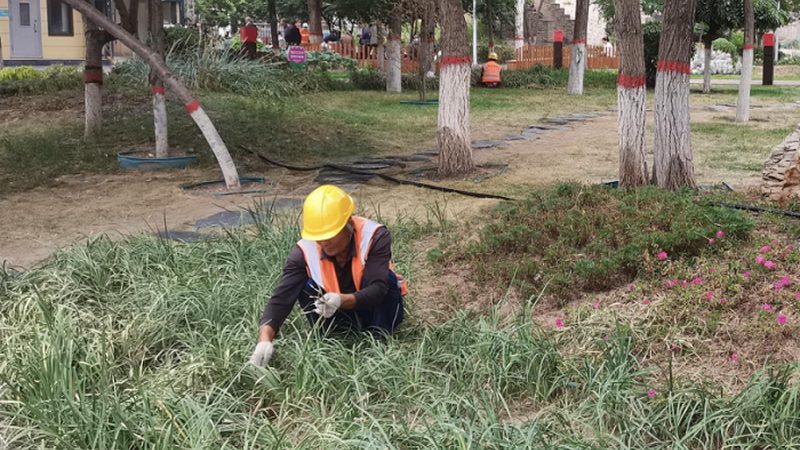 边坡喷播机与客土喷播机：本质区别与应用场景解析