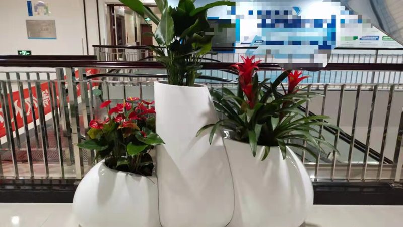立体绿化定制方案：如何规避五大常见误区