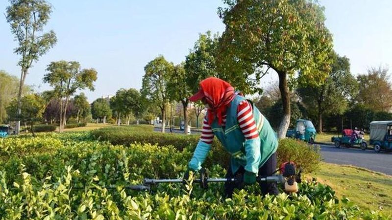 商业广场园林景观验收标准全解析