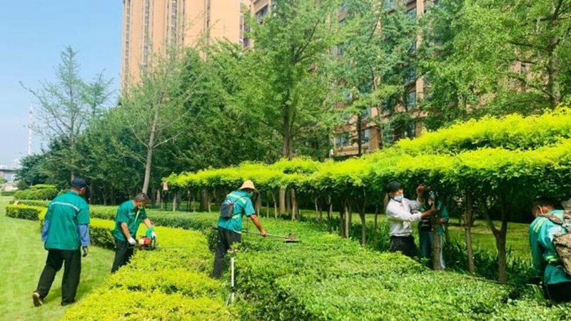 自动草坪修剪机器人：材质与防水等级揭秘